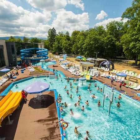 Cervi Cieplice * Jelenia Góra